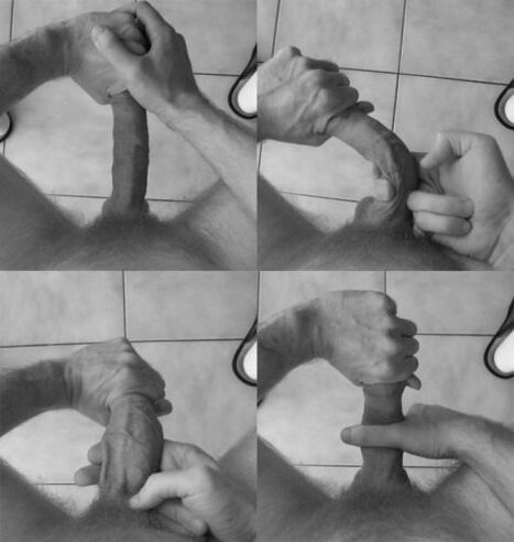 Penis
