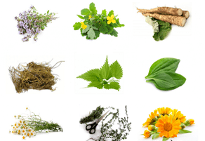 Folk remedies for penis enlargement