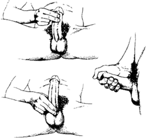 masturbation and massage to increase penis size