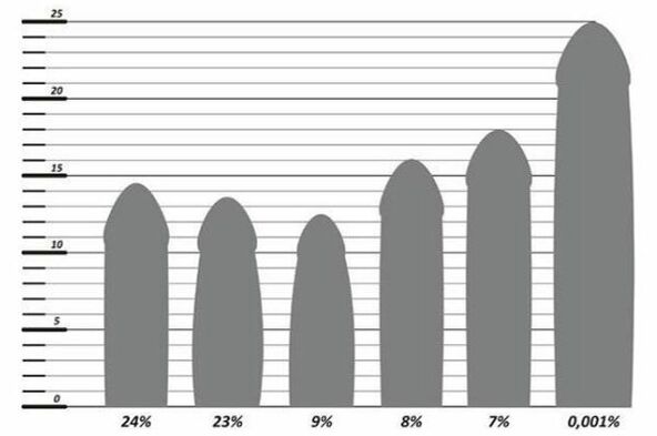 Statistics of penis size